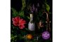 Do Your Tonic Botanical - Geschenk Set